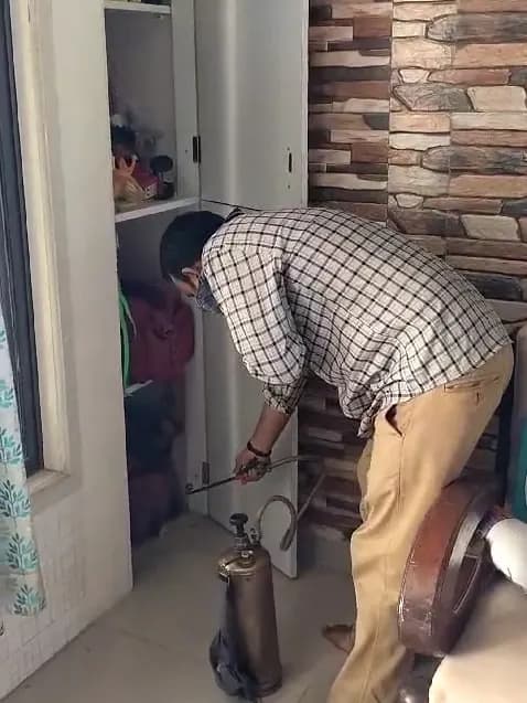 Spray directed into the lower part of a living room cupboard